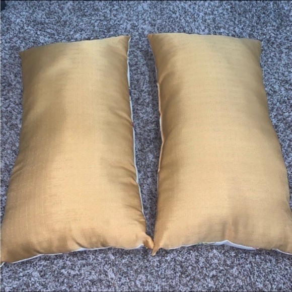 x2 Insect Butterfly Fly Beetles Grasshopper Dragonfly Pillows 14”x24” - Picture 4 of 4